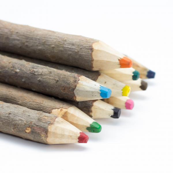 Pine Crayon Bundle (10)